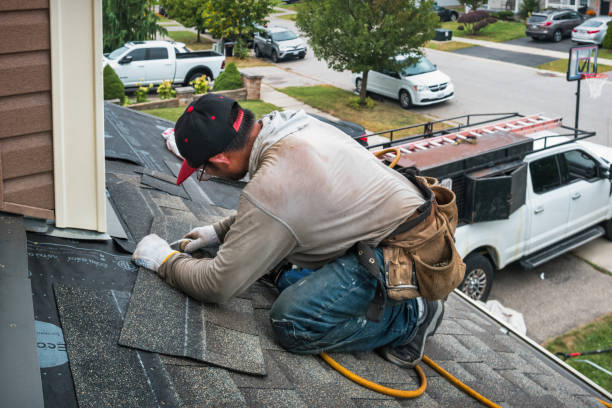 Professional Gutter Repair And Installation technician working in Leicester, NY